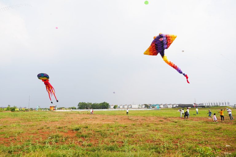 gallery/6346/Kite-Festivak-2023-SCG-02.jpeg